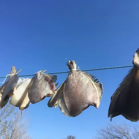 Ferienhaus Nyd Den Skonne Ved Hav Og Fjord